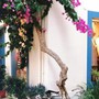 Đại kỵ để những đồ vật này trước cửa nhà dễ tán gia bại sản