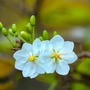 Số cuối ngày sinh Âm lịch tiết lộ ai sẽ về đích viên mãn
