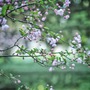Tháng sinh Âm lịch tiết lộ người cả đời sống nhân hậu, phúc lộc song toàn