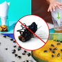 Chỉ cần đặt thứ này trong nhà, ruồi không dám bén mảng tới