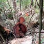 'Rỉ máu' ở Vườn Quốc gia Ba Bể: 41 cây nghiến bị chặt hạ 'kinh hoàng'