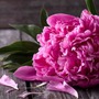 Tháng sinh Âm lịch của người có cuộc đời đẹp như mơ: Càng lớn tuổi càng thịnh vượng
