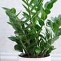 Những chỗ được coi là góc nhọn trong nhà và các cây cảnh phong thủy giúp hóa giải sát khí từ góc nhọn hiệu quả nhất