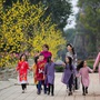 Người lao động lại sắp nghỉ lễ dài 4 ngày?