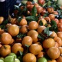 Một loại cam Trung Quốc đổ bộ chợ Việt giá rẻ bèo, được người tiêu dùng ưa chuộng