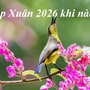 Lập Xuân 2026 – ngày khởi đầu của năm mới: Chuyên gia khuyên bí quyết đón năm mới tài lộc, hanh thông