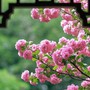 Ngày sinh Âm lịch của người tham vọng, sự nghiệp dễ thăng hoa