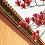 Giờ sinh Âm lịch của người tốt tính, đi đâu cũng được yêu quý