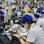 Tin sáng 16/10: Tuổi nghỉ hưu năm 2027 là bao nhiêu? Những khu vực nào của Hà Nội sẽ ưu tiên cắt tỉa, dịch chuyển bớt cây hoa sữa?