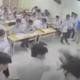 Vụ nam sinh lớp 12 đánh cô giáo gãy xương cánh mũi: Lằn ranh nào cho bạo lực học đường?