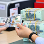 Tỷ giá USD hôm nay 29/10: USD chợ đen chững giá, người mua đô cần lưu ý những gì?