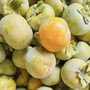 Tiêu thương ‘mách’ cách phân biệt hồng Đà Lạt và hồng Trung Quốc chỉ cần nhìn vào những đặc điểm này dễ dàng nhận ra