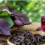 Loại lá rẻ tiền giúp đào thải axit uric cực tốt, người Việt nên ăn thường xuyên hơn