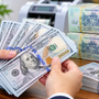 Tỷ giá USD hôm nay 31/10: Giá USD khối ngân hàng đồng loạt giảm xuống dưới 26.000 đồng/USD bán ra, có nên mua USD lúc này?