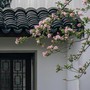 Ngày sinh Âm lịch của người có tư duy táo bạo: Không ngại đi ngược số đông
