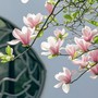 Tháng sinh Âm lịch của người phụ nữ có cả nhan sắc lẫn khí chất