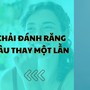 Bao lâu nên thay bàn chải đánh răng 1 lần? Các phương pháp làm sạch bạn nhất định phải biết