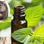 Muốn dùng thuốc hay bả đuổi chuột nhưng sợ độc hại, đừng lo, hãy thử ngay phương pháp tự nhiên này