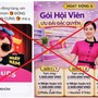 Hà Nội: 'Sập bẫy' nhiệm vụ online trên nhóm “Đồng hành cùng Con Cưng”, người phụ nữ mất 1 tỷ đồng