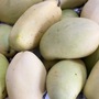 Nhiều loại xoài Việt vào mùa, xếp đống bán đầy thị trường giá chỉ hơn chục nghìn đồng/kg