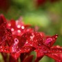 Ngày sinh Âm lịch của người có tài, ham học hỏi, trung niên dễ đổi đời ngoạn mục