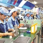 Học ngoại ngữ gì để AI không thể thay thế trong tương lai? Đây là 3 thứ tiếng đáng để đầu tư ngay từ bây giờ
