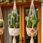 Trồng 2 cây này trước nhà, gia chủ đổi vận, xua đuổi xui xẻo nhưng có điều cần đặc biệt lưu ý