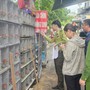 Phát hiện gần 1.000 cá thể chim hoang dã bị nuôi nhốt, mua bán tại Hải Phòng