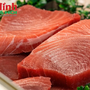 Những loại cá đắt đỏ nhất thế giới, có tiền cũng không dễ mua được