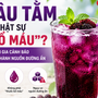 Dâu tằm có thật sự 'bổ máu'? Chuyên gia cảnh báo nguy cơ thành nguồn đường ẩn nếu dùng sai cách
