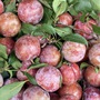 Mận hậu giảm giá sâu chỉ còn vài nghìn đồng/kg bán đầy thị trường, người háo hức, kẻ ngó lơ 