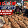 Loại cá giá rẻ bán đầy chợ Việt nhưng nhiều người vẫn e ngại mua