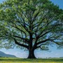 Những năm sinh được dự đoán dễ thành đại gia, tài lộc vượng từ trung vận