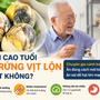 Người già ăn trứng vịt lộn mỗi tuần có tốt không? Chuyên gia nói một điều nhiều người bất ngờ