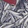 Loại cá siêu rẻ, bán đầy chợ Việt giàu omega3 không kém cá hồi