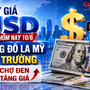 Tỷ giá USD hôm nay 10/6: Đồng Đô la Mỹ thị trường chợ đen tăng giá