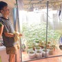 Bất ngờ với hệ thống 'mô phỏng' trồng cần sa trong nhà của gã thanh niên