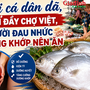 Loại cá dân dã, bán đầy chợ Việt, người đau nhức xương khớp nên ăn
