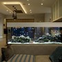 4 vị trí đặt bể cá phong thủy dễ hao tài và ảnh hưởng sức khỏe mà nhiều gia đình vẫn mắc phải