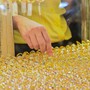 Giá vàng hôm nay 14/6: Vàng SJC, vàng nhẫn DOJI, Bảo Tín Minh Châu, Phú Quý tăng bao nhiêu?