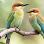 Tháng sinh Âm lịch của người nhanh nhạy, giỏi nắm bắt cơ hội, dễ tạo dựng cuộc sống sung túc