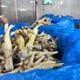 Khởi tố vụ buôn lậu hơn 10.000 tấn chân gà đông lạnh, thu giữ trên 2.000 tấn hàng hóa