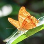Ngày sinh Âm lịch của người đổi đời nhờ quý nhân đưa đường chỉ lối