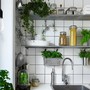 Đặt 4 loại cây phong thủy này trong bếp, gia chủ tự nhiên đón lộc, đổi đời