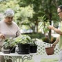 Vợ chồng sống đến tuổi 65 vẫn làm được 3 việc này, tuổi già chắc chắn viên mãn