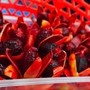 Loại quả xưa rụng đầy bờ rào không ai ngó giờ thành đặc sản lên tới 500.000 đồng/kg, trồng một lần thu hoạch cả đời