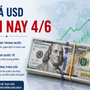 Tỷ giá USD hôm nay 4/6: Đồng Đô la Mỹ thị trường tự do phục hồi
