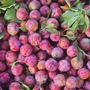 Quả mận đang chính vụ giá siêu rẻ, đem nấu canh hay om thịt vịt vừa lạ miệng vừa giải nhiệt ngày hè