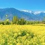 Ngày sinh Âm lịch của người có số hưởng, cả đời vô ưu vô lo