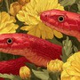 Càng yêu càng dại: 4 con giáp dễ đánh mất bản thân vì tình yêu